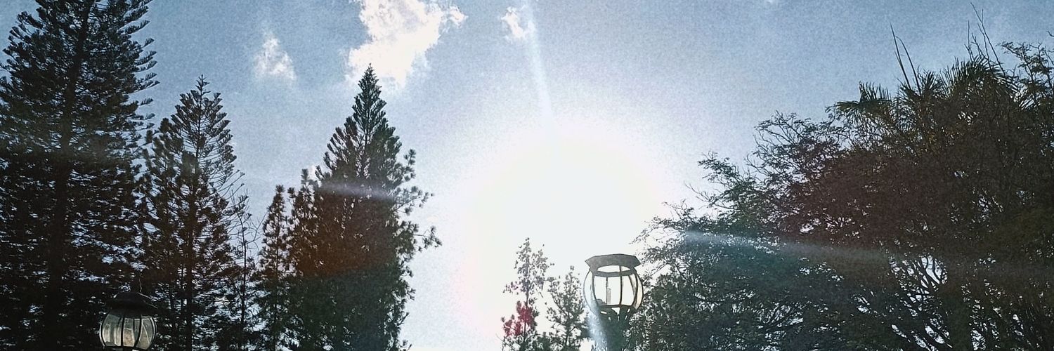 Houndedst's profile banner image