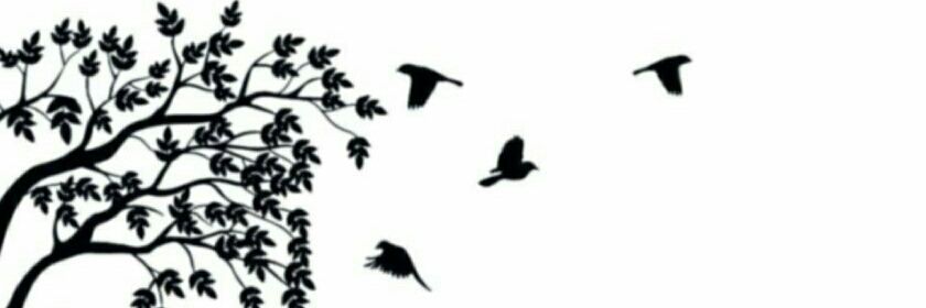 rlaurahdzm's profile banner image