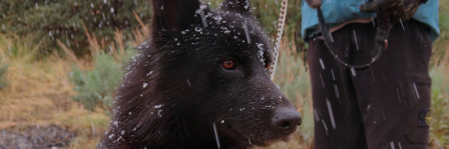 Kaleb2Meech's profile banner image