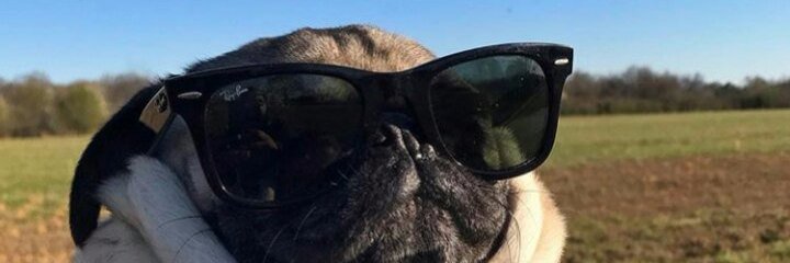 SergiH13's profile banner image
