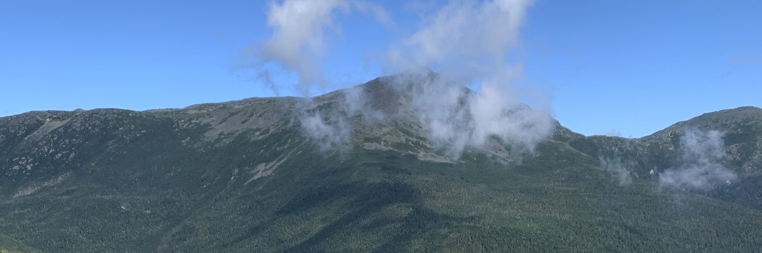 joleewil's profile banner image