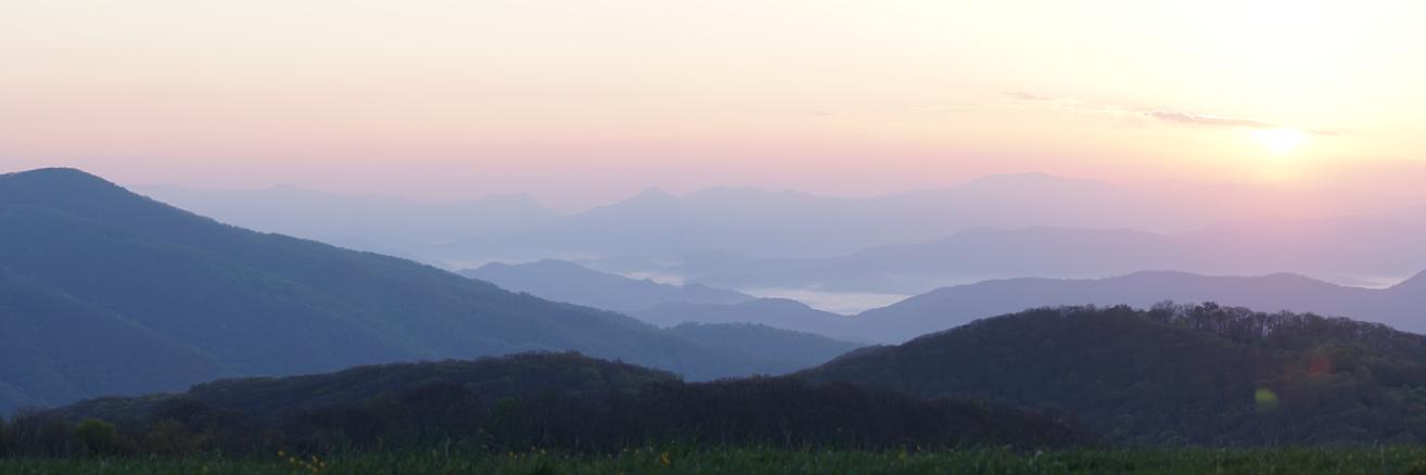 grace_ann45's profile banner image