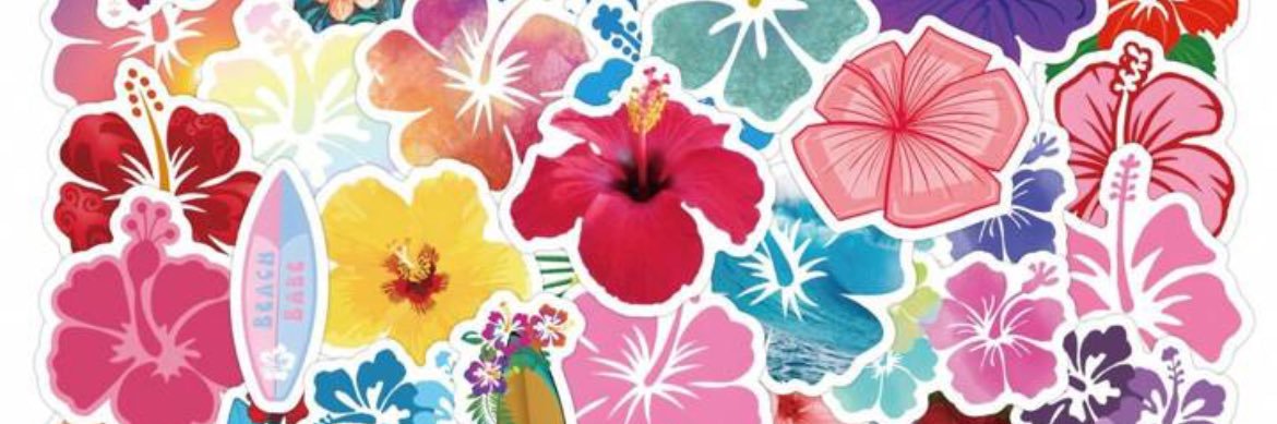 marta__11's profile banner image