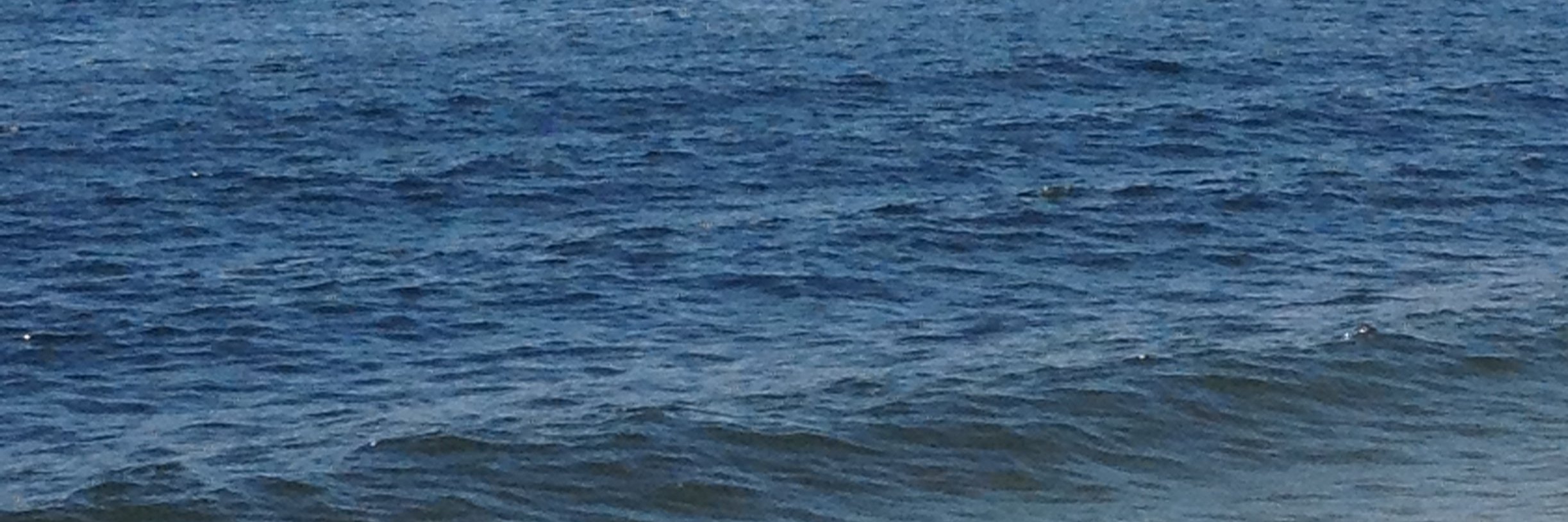 MattBrunk's profile banner image