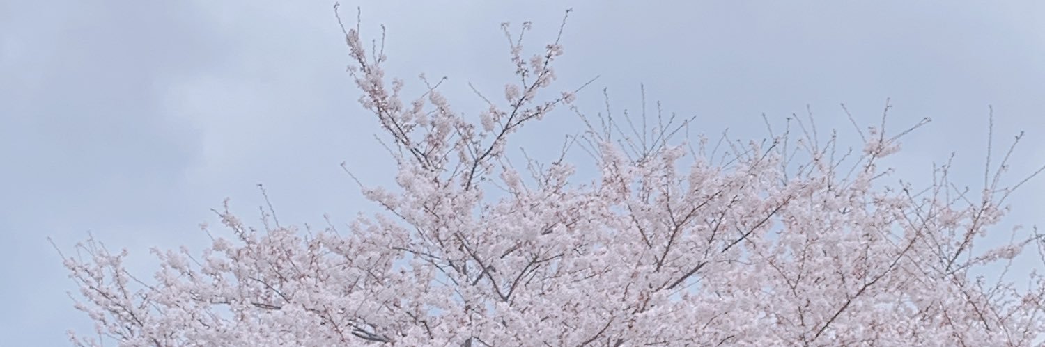 mochikochi's profile banner image