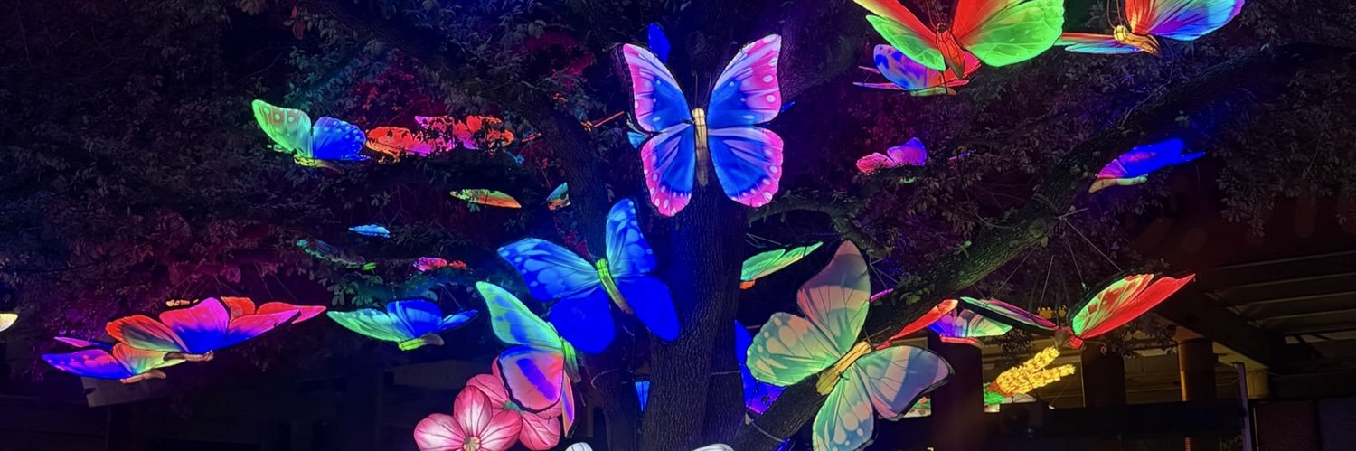 elizzy_25's profile banner image