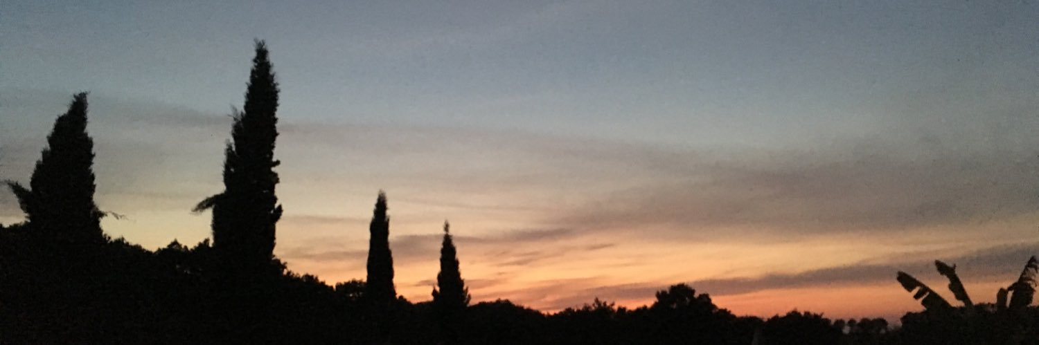 Sarah Doyle 💙 banner