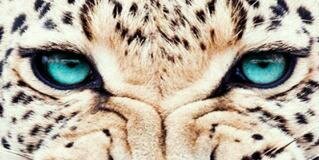 chesty19's profile banner image