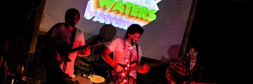 tocoquinones's profile banner image