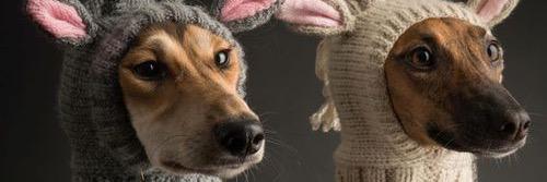 Gabriellelucey's profile banner image