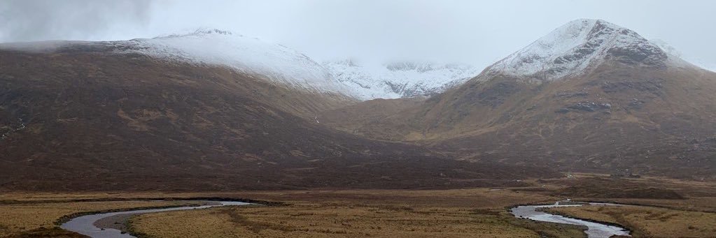 Jared Stacy, PhD banner