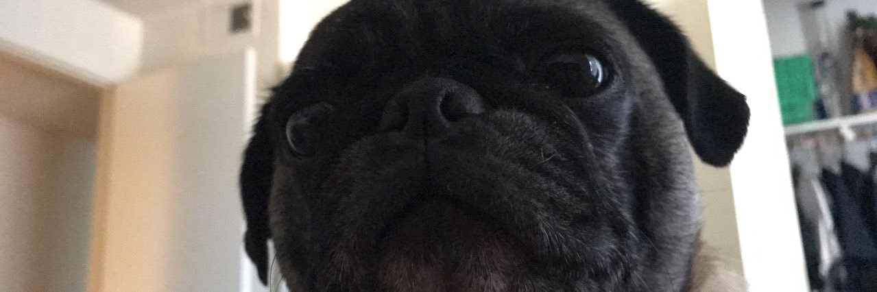 livmanos's profile banner image