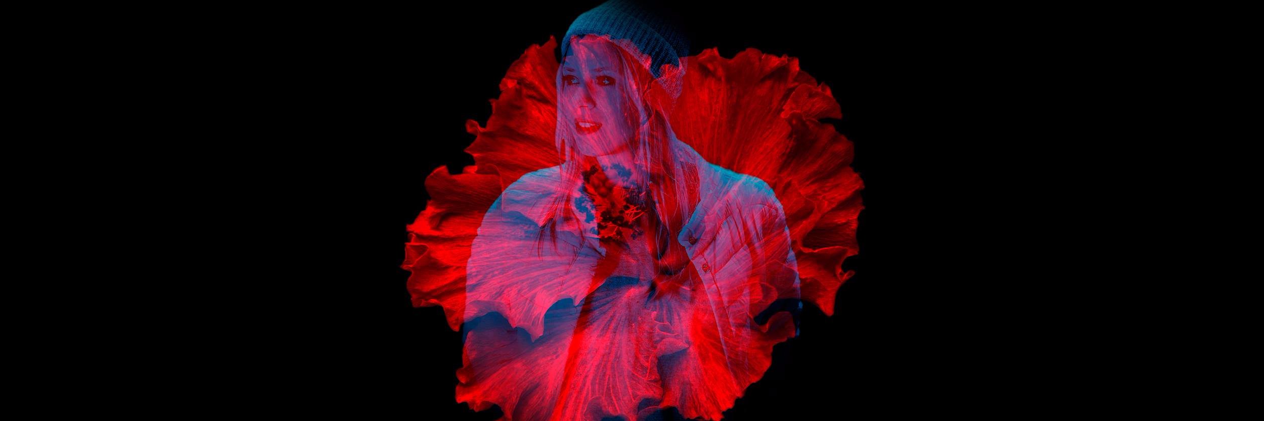 AlvaNygard's profile banner image