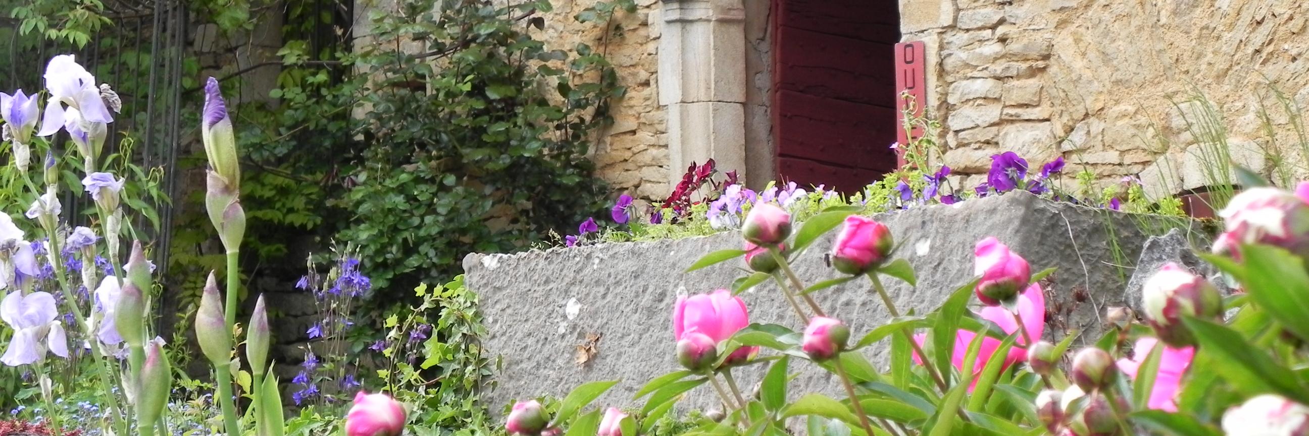 Coxingale's profile banner image