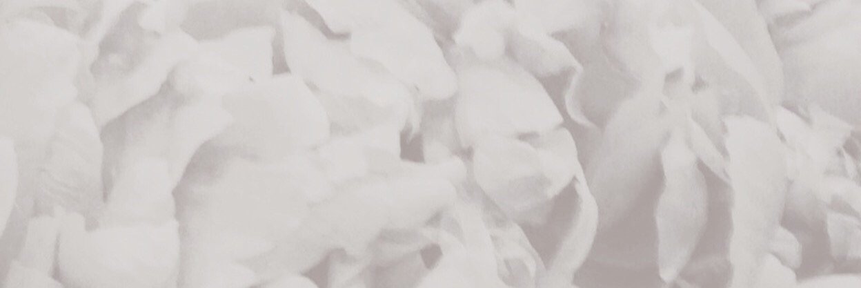 INTERPRETUS's profile banner image