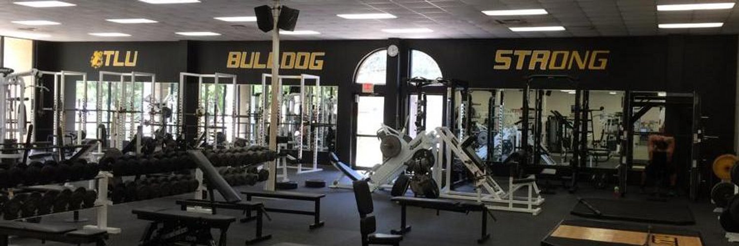 TLUrecreation's profile banner image