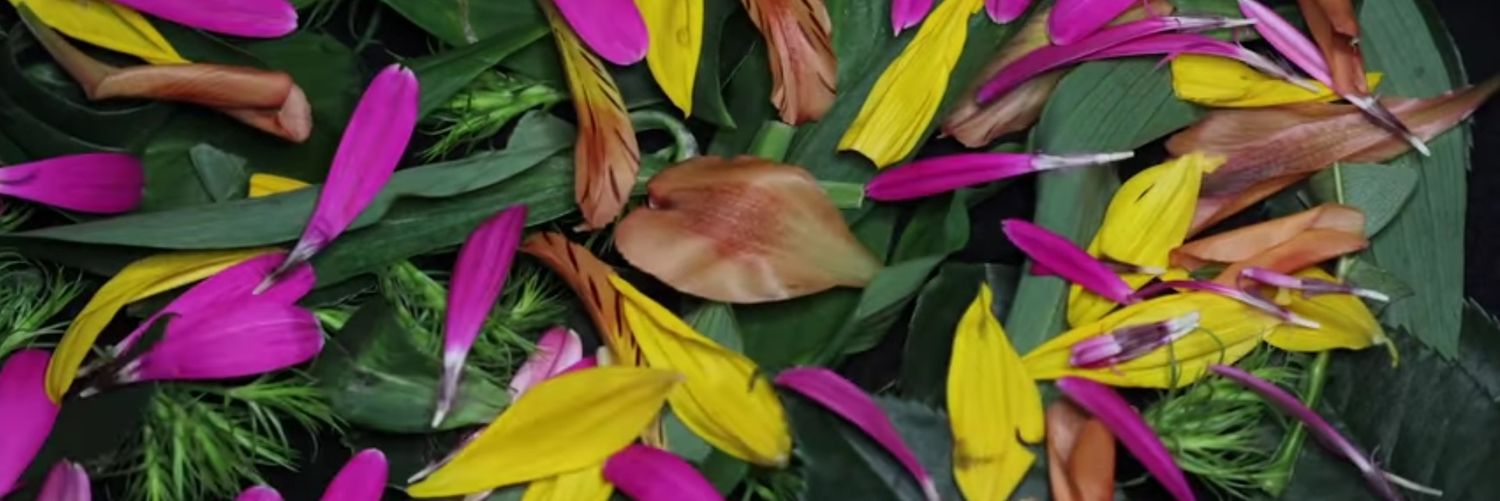 caxtromusic's profile banner image