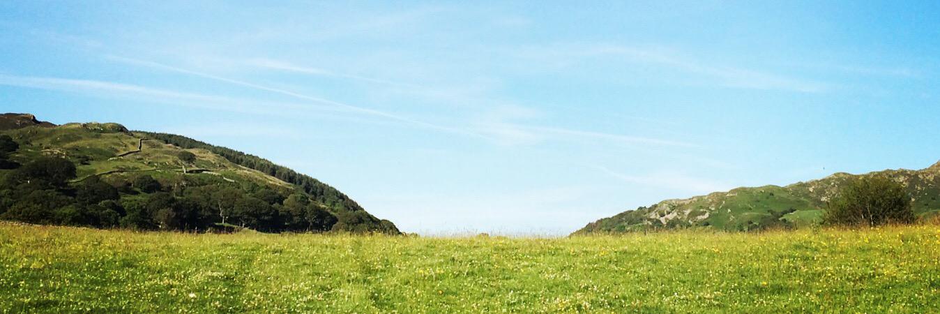 RuTru's profile banner image