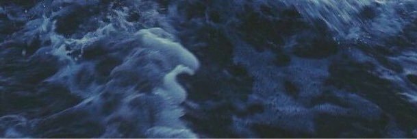 wastedashell's profile banner image