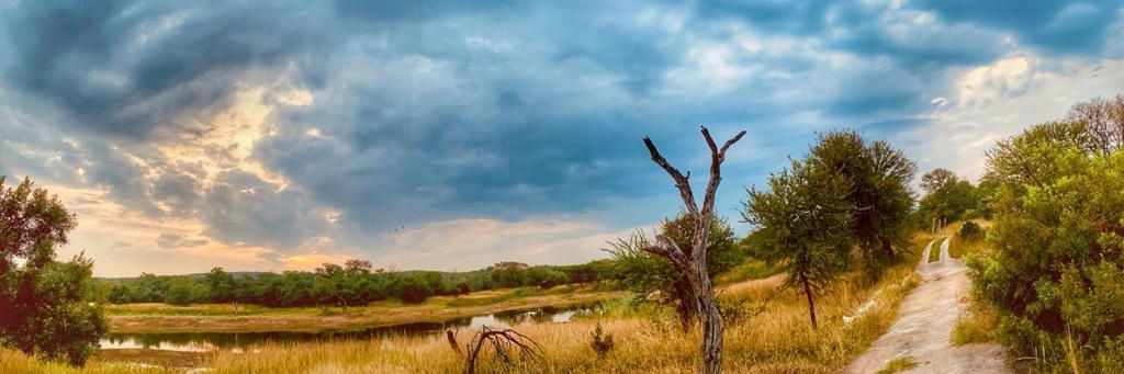 Busi_ndlovu's profile banner image