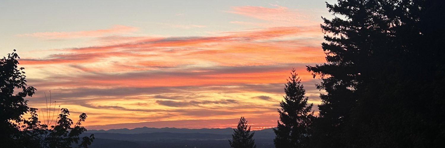 emilyspen's profile banner image