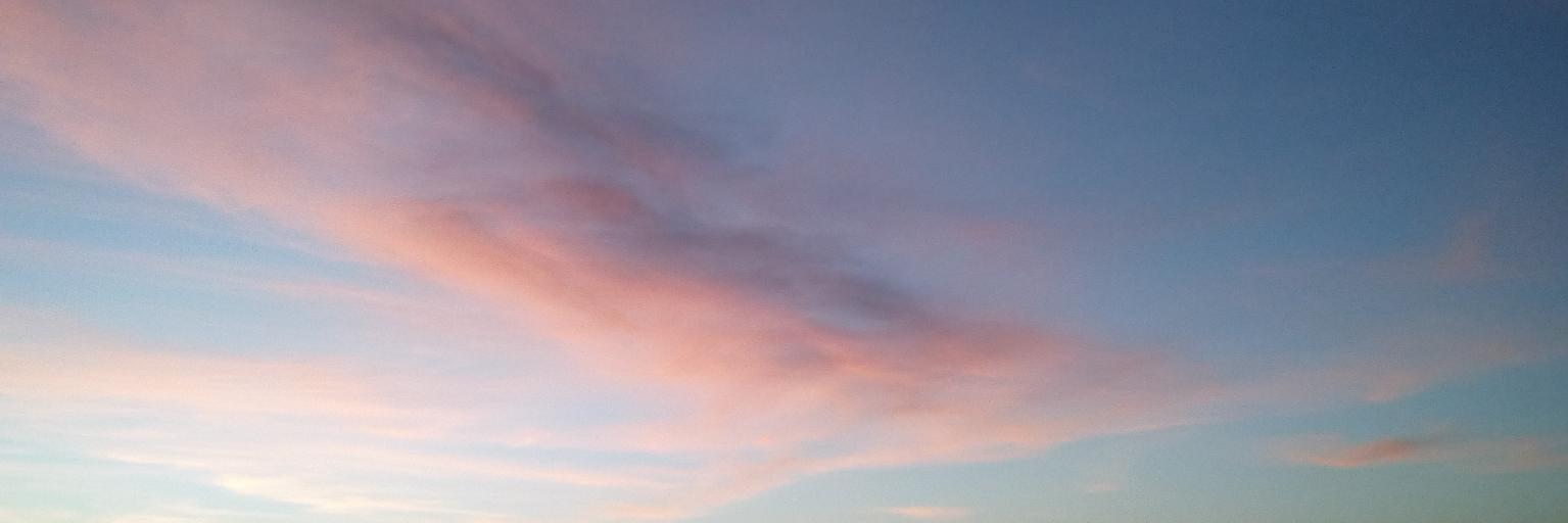 anarosacultural's profile banner image
