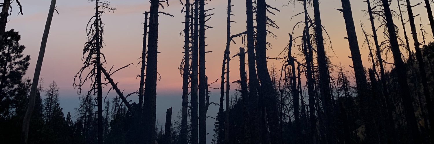 gabycopca's profile banner image
