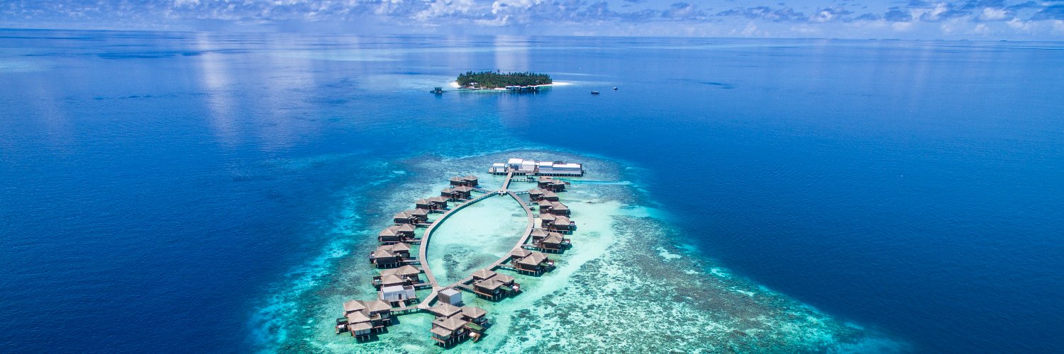 Angelfish Travel banner