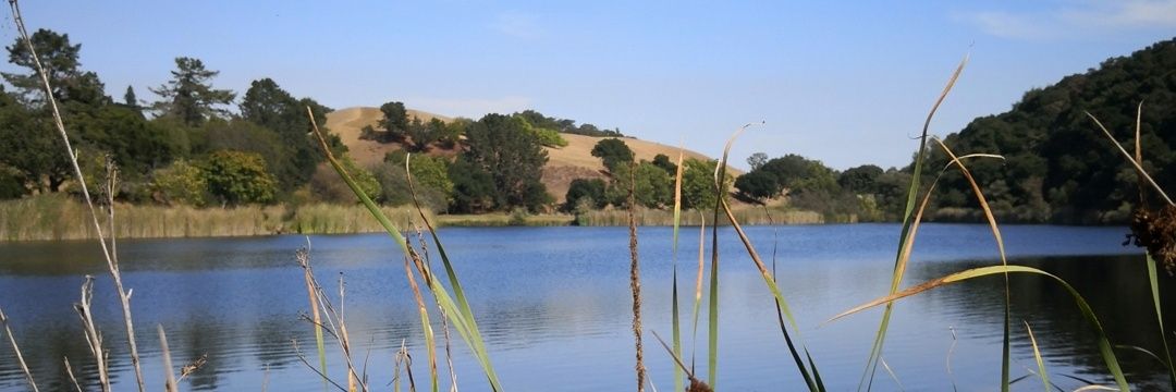 Danielle DeSouza banner