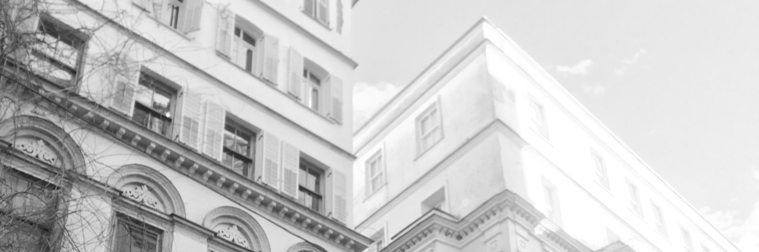 nefenasin's profile banner image