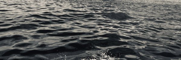 Tendai_Chitima Profile Banner