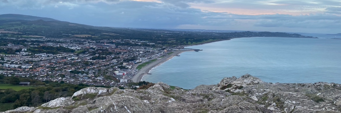 Jennifer Bray banner