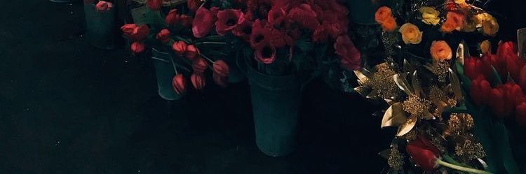 d_dddd1's profile banner image