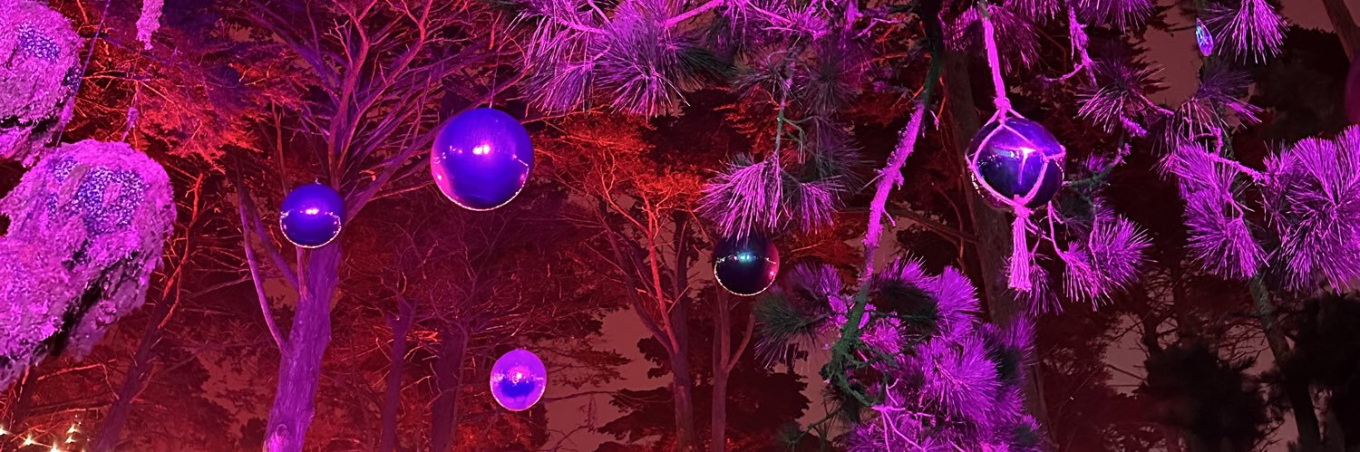 regandowning's profile banner image