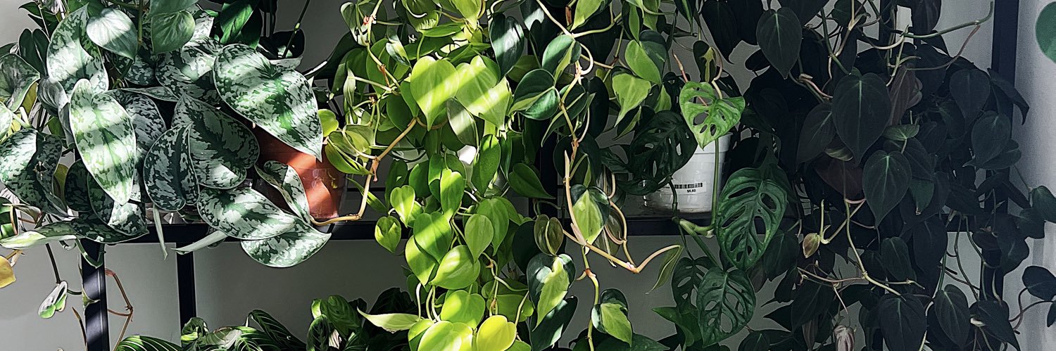 𝑴𝒂𝒚𝒂 ♕ banner