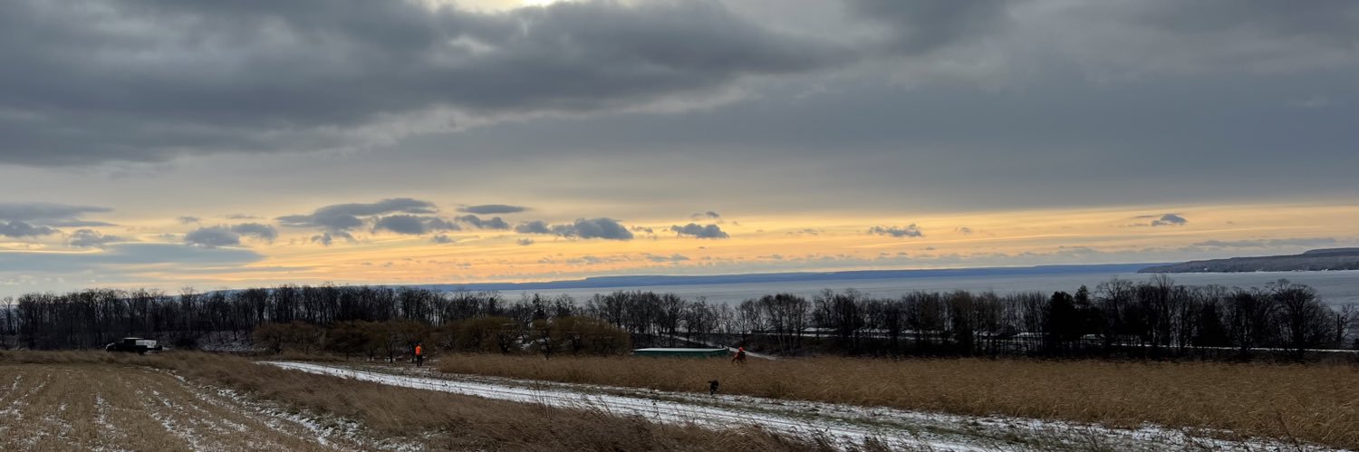 Michael Harris banner