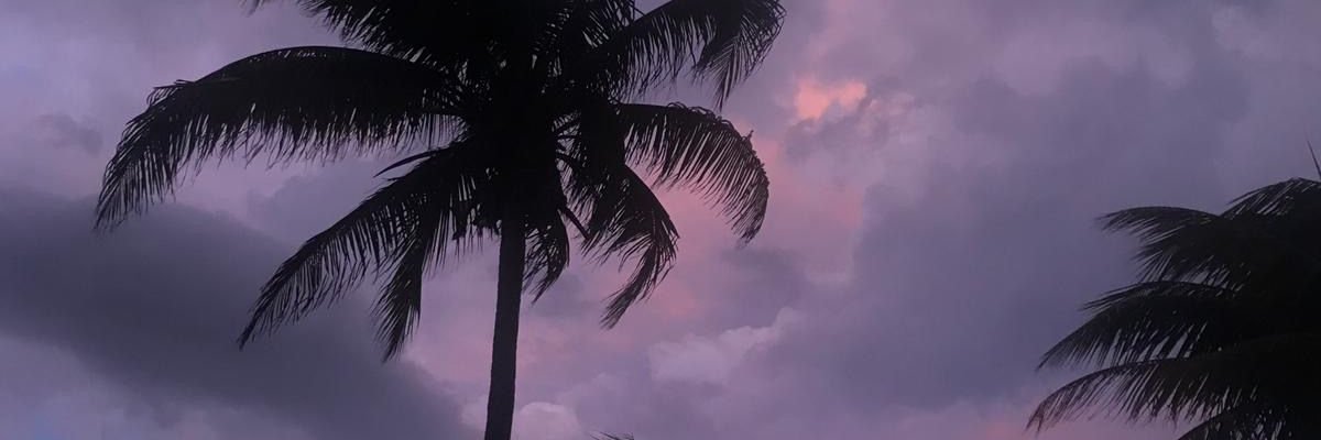 Madguy1980's profile banner image