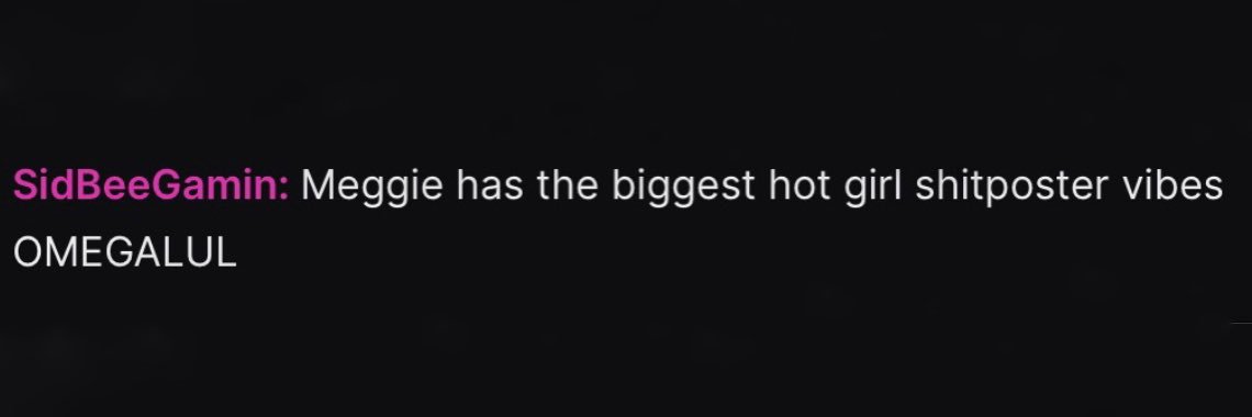 ˚₊‧꒰ა megs ໒꒱ ‧₊˚ ♡ banner