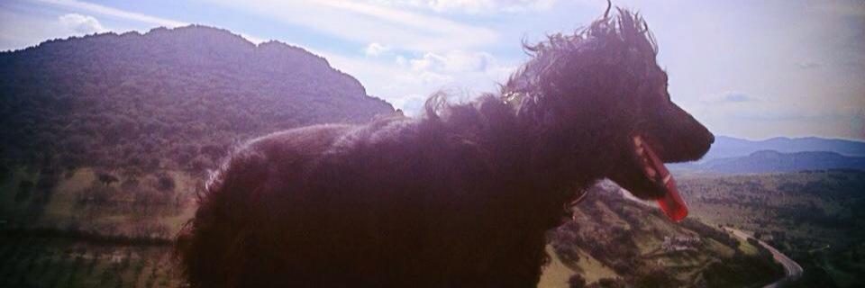 Periko1989's profile banner image