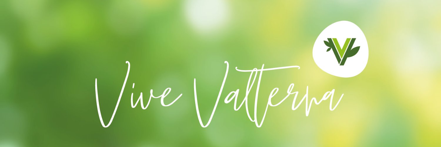 Vivevalterna's profile banner image