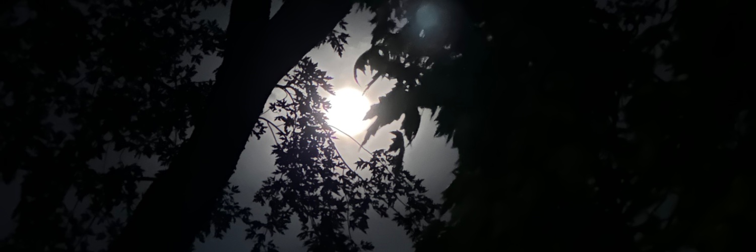 abelanger1024's profile banner image