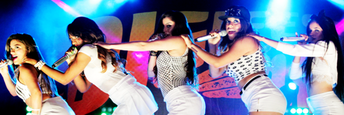 salvei banner