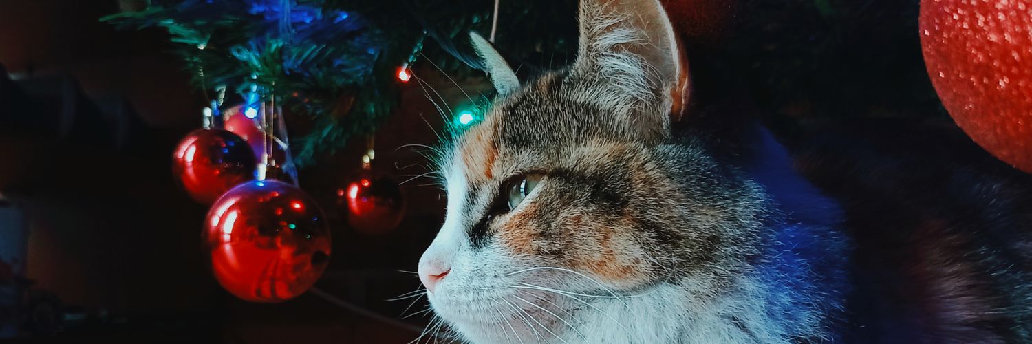 soyelropp's profile banner image