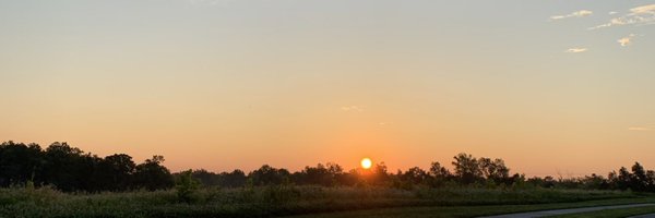 BrandynMohr Profile Banner