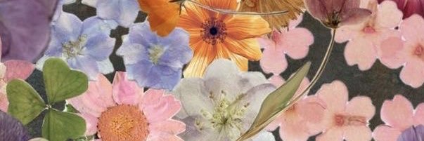 mia_wallace___'s profile banner image