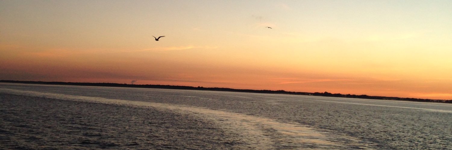 AllySays_'s profile banner image
