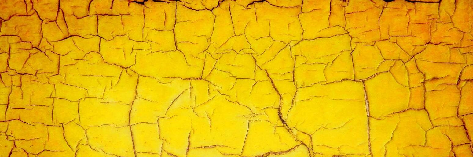 LittleGiallo's profile banner image