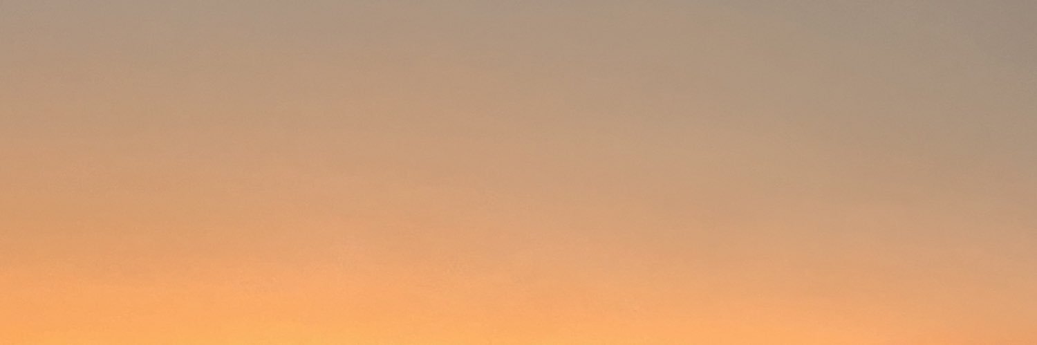 leo_3399's profile banner image