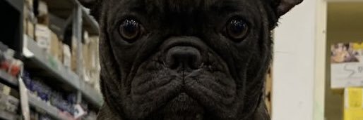 RichardDuqueC's profile banner image