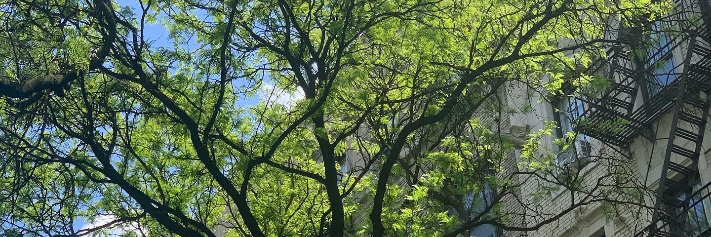 Chris Klippenstein banner